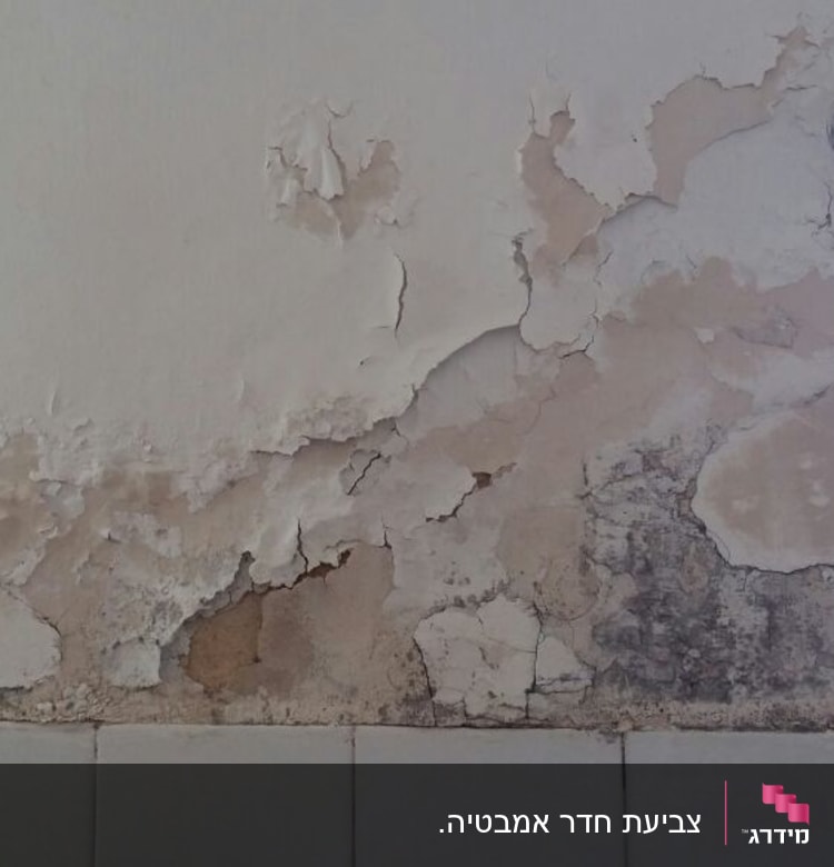 קיר צפוני לפני העבודה